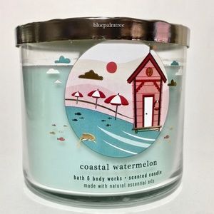 COASTAL WATERMELON 3 Wick Candle